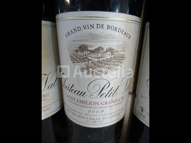 3 flessen saint-emilion grand cru château petit val 2009 - afbeelding 2 van  4