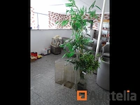 3 glazen potten - afbeelding 2 van  2