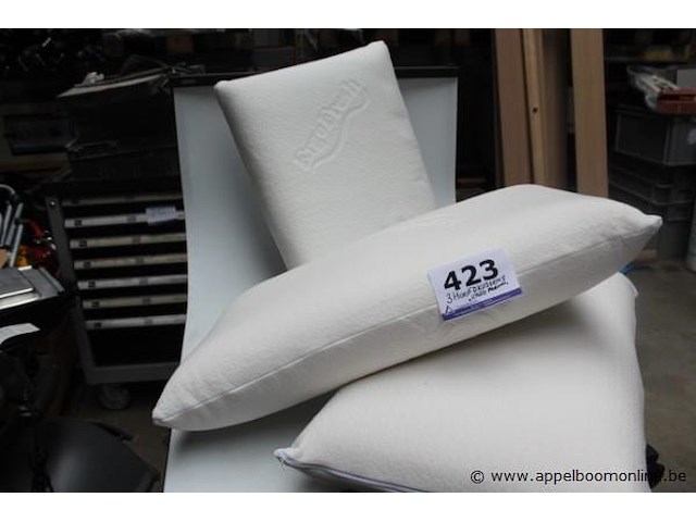 3 hoofdkussens - afbeelding 1 van  1