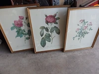 3 kaders rozen - afbeelding 1 van  4