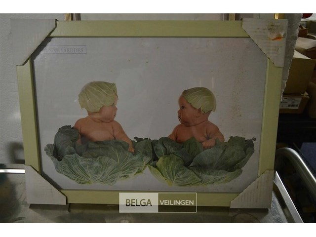 3 kadertjes - afbeelding 1 van  3