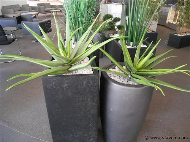 3 metalen 1 stenen plantenbakken - afbeelding 1 van  1