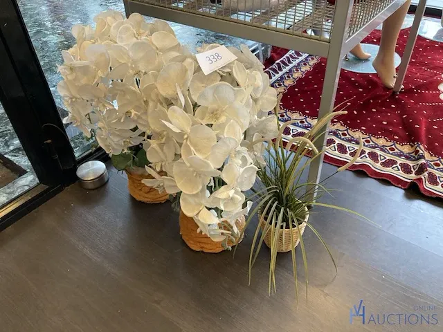 3 namaakplanten - afbeelding 1 van  3