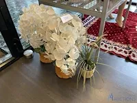 3 namaakplanten - afbeelding 1 van  3