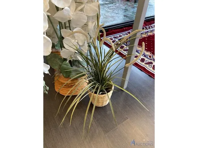 3 namaakplanten - afbeelding 2 van  3