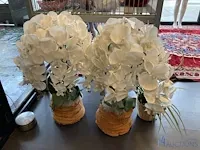 3 namaakplanten - afbeelding 3 van  3