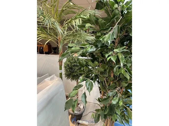 3 namaakplanten - afbeelding 1 van  4