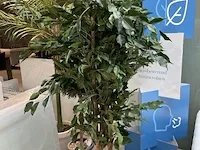 3 namaakplanten - afbeelding 2 van  4