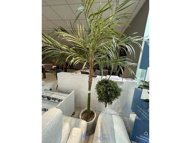 3 namaakplanten - afbeelding 4 van  4