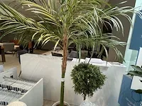 3 namaakplanten - afbeelding 4 van  4