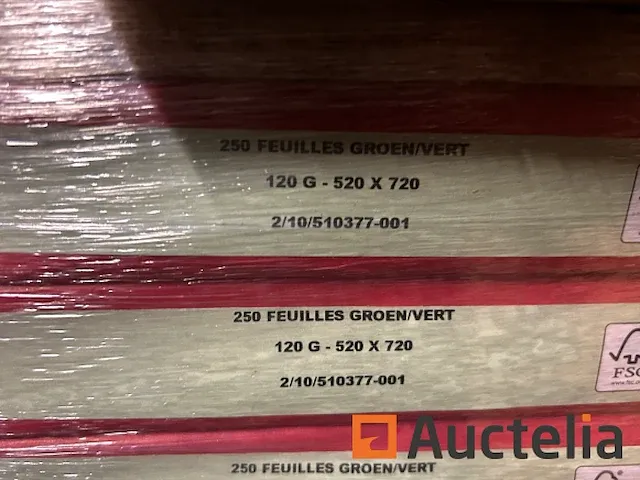 3 pallets adagi bright green paper 120g 52x72 - afbeelding 1 van  5