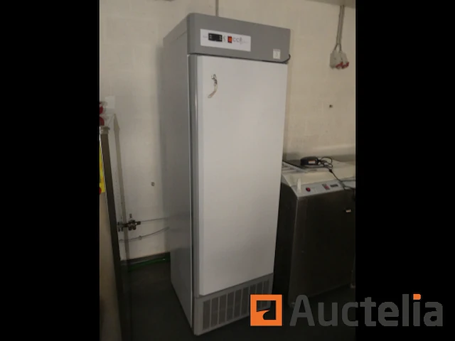 3 professionele machines voor de productie van ccf eskimo's - afbeelding 11 van  17