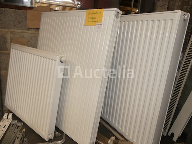 3 radiatoren + beugels & accessoires - afbeelding 7 van  7