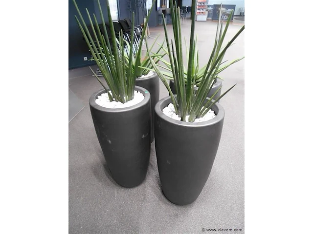 3 stenen plantenbakken - afbeelding 1 van  1