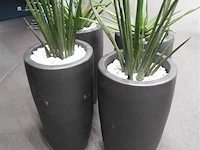 3 stenen plantenbakken - afbeelding 1 van  1