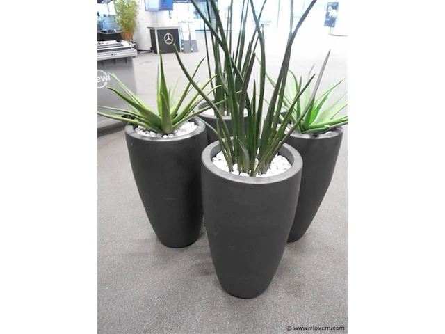 3 stenen plantenbakken - afbeelding 1 van  1