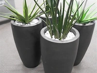 3 stenen plantenbakken - afbeelding 1 van  1