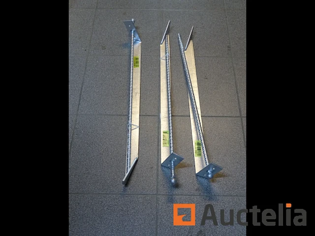 3 stormankers met aarddoorn 49 € / stuk - afbeelding 1 van  5