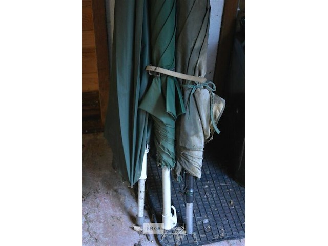 3 vis paraplu's - afbeelding 3 van  3