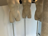 3 vrouwelijke pasbustes - afbeelding 3 van  3