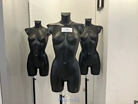 3 vrouwelijke pasbustes - afbeelding 2 van  2
