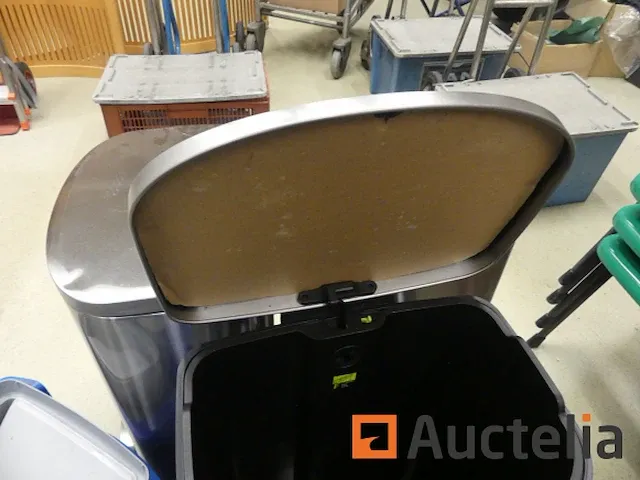 3 vuilnisbakken roestvrij staal 50 liter eko della step bak - afbeelding 5 van  8