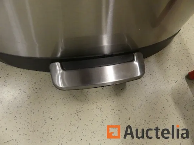 3 vuilnisbakken roestvrij staal 50 liter eko della step bak - afbeelding 6 van  8