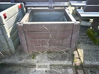 3 x kunststof plantenbak - afbeelding 3 van  6
