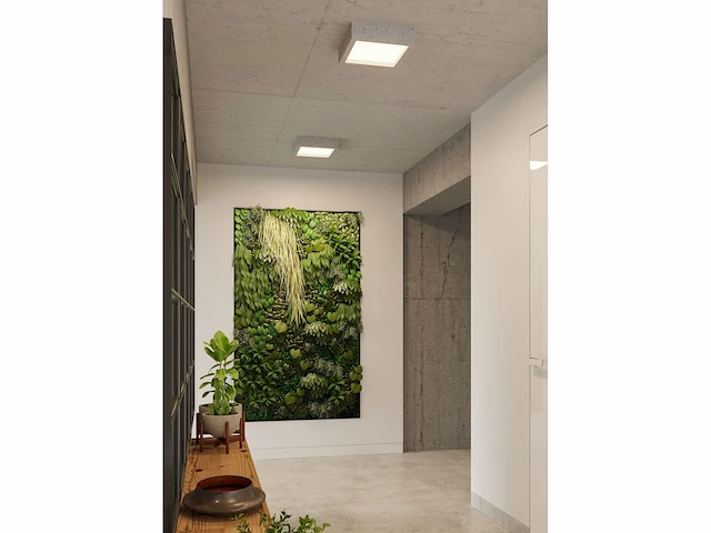 3 x led rock plafond led lampen - afbeelding 2 van  5
