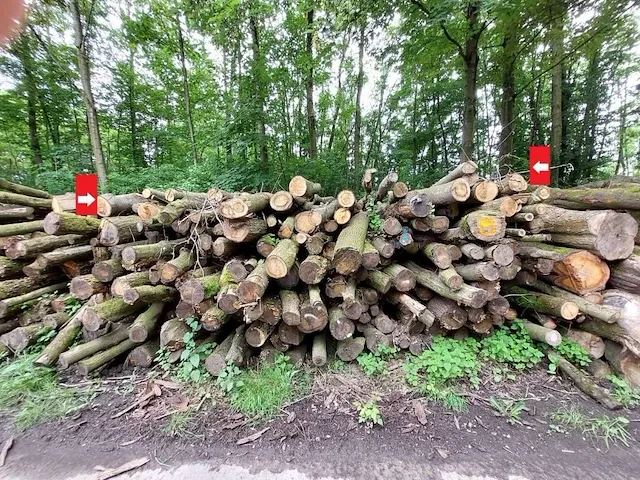 30 stère eik - afbeelding 1 van  1