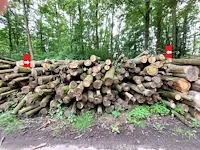 30 stère eik - afbeelding 1 van  1