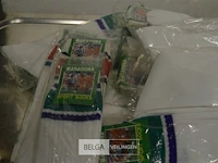 ±33 maradonna sportkousen one size - afbeelding 2 van  3