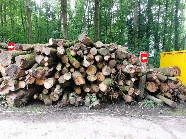 33 stère mix hardhout - afbeelding 1 van  1