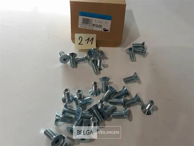 35 x inbusbouten verzinkt platte kop m12x30 mm - afbeelding 1 van  3