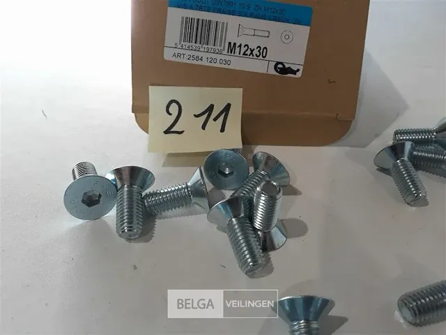 35 x inbusbouten verzinkt platte kop m12x30 mm - afbeelding 3 van  3