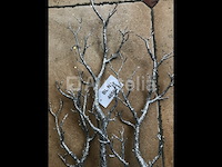 36 zilveren takken kerstdecoratie - afbeelding 2 van  6