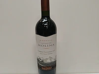 3x 75cl castillo de molina - afbeelding 1 van  2