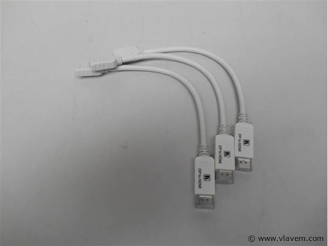 3x adapter disport naar hdmi - afbeelding 1 van  1
