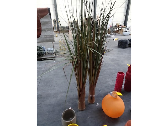 3x deco planten - afbeelding 1 van  1
