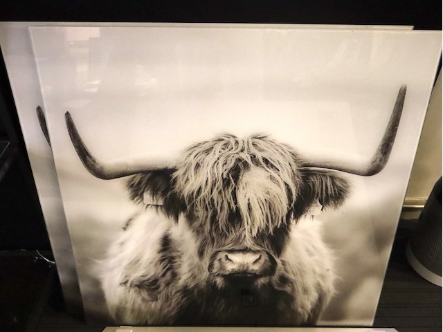 3x glasprint leeuw & koe - afbeelding 2 van  5