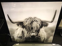 3x glasprint leeuw & koe - afbeelding 3 van  5