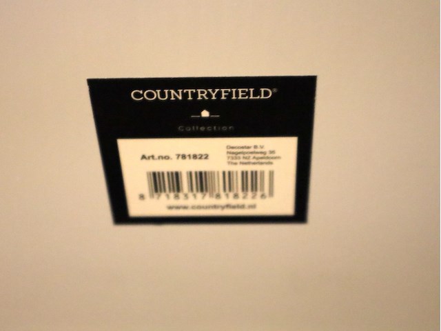 3x glasprint leeuw & koe - afbeelding 4 van  5