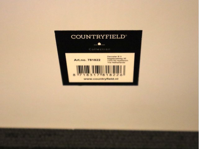 3x glasprint leeuw & koe - afbeelding 5 van  5