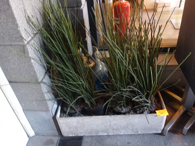 3x stenen bloempot + kunststof planten - afbeelding 1 van  2