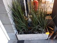 3x stenen bloempot + kunststof planten - afbeelding 1 van  2