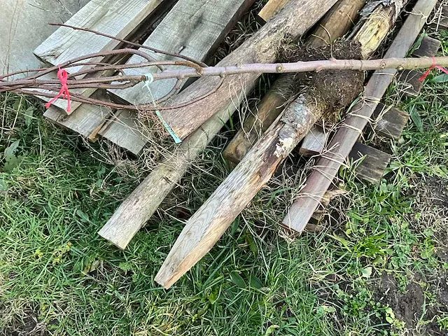 4 aangesproken rollen kastanjefencing - afbeelding 9 van  11