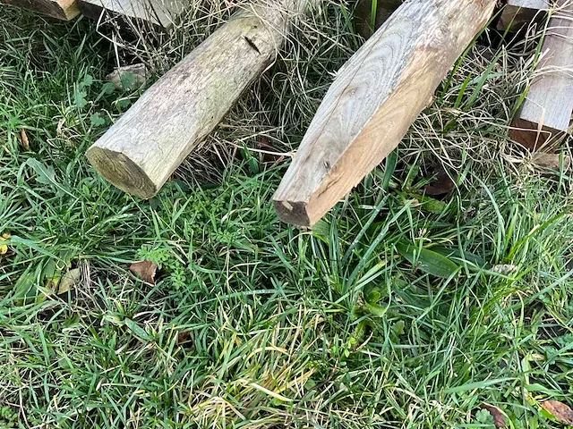 4 aangesproken rollen kastanjefencing - afbeelding 10 van  11