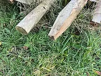 4 aangesproken rollen kastanjefencing - afbeelding 10 van  11