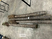 4 beklede houten palen - afbeelding 1 van  6