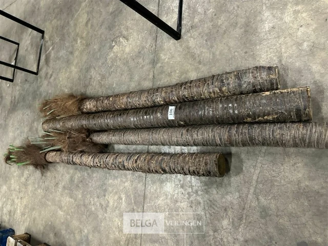 4 beklede houten palen - afbeelding 2 van  6
